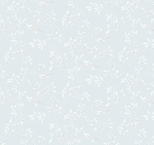 Milassa Status Neo8 006